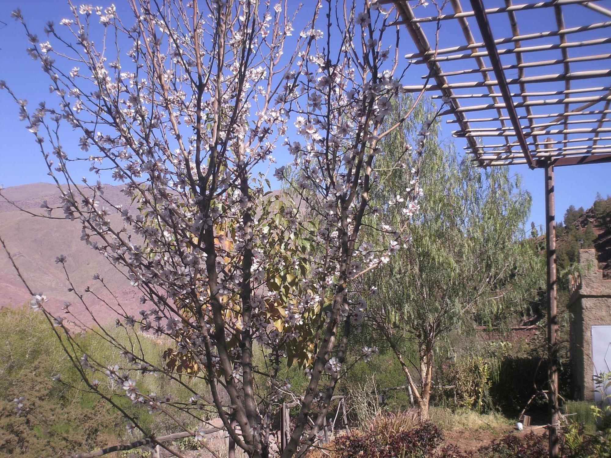 Auberge Tigmmi N'Tamazirte Ijjoukak Bagian luar foto
